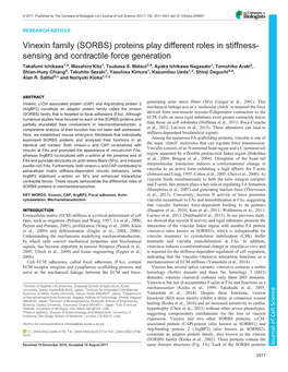 Vinexin Family (SORBS) Proteins Play Different Roles in Stiffness- Sensing and Contractile Force Generation Takafumi Ichikawa1,2, Masahiro Kita1, Tsubasa S