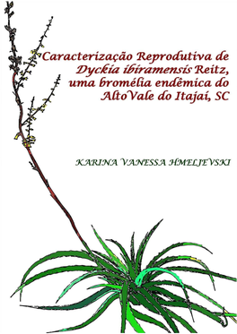 Caracterização Reprodutiva De Dyckia Ibiramensis Reitz, Uma Bromélia Endêmica Do Alto Vale Do Itajaí, SC