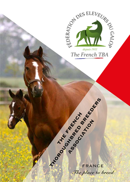 The French Thoroughbred Breeders Association