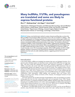 Many Lncrnas, 5'Utrs, and Pseudogenes Are Translated