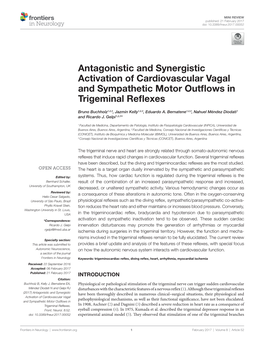 Antagonistic and Synergistic Activation of Cardiovascular Vagal and Sympathetic Motor Outflows in Trigeminal Reflexes