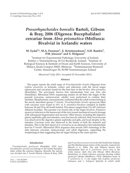 Cercariae from Abra Prismatica (Mollusca: Bivalvia) in Icelandic Waters