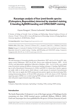 Karyotype Analysis of Four Jewel-Beetle Species (Coleoptera, Buprestidae) Detected by Standard Staining, C-Banding, Agnor-Banding and CMA3/DAPI Staining