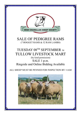 Sale of Pedigree Rams Tullow Livestock Mart