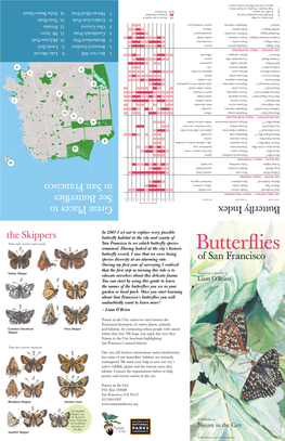 Butterflies of San Francisco