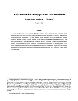 Confidence and the Propagation of Demand Shocks∗