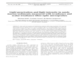 Light Penetration and Light Intensity in Sandy Marine Sediments Measured with Irradiance and Scalar Irradiance Fiber-Optic Microprobes