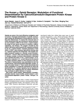 The Human In. Opioid Receptor: Modulation of Functional Desensitization by Calcium/Calmodulin-Dependent Protein Kinase and Protein Kinase C