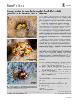 Sponges Hosting the Zoantharia-Associated Crab Platypodiella Spectabilis at St