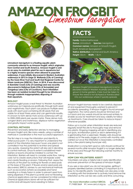 Amazon-Frogbit-Flyer.Pdf