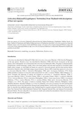 Loboschiza Diakonoff (Lepidoptera: Tortricidae) from Thailand with Descriptions of Four New Species