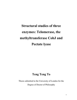 Structural Studies of Three Enzymes: Telomerase, the Methyltransferase Cobj and Pectate Lyase