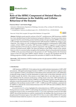 Role of the HPRG Component of Striated Muscle AMP Deaminase in the Stability and Cellular Behaviour of the Enzyme