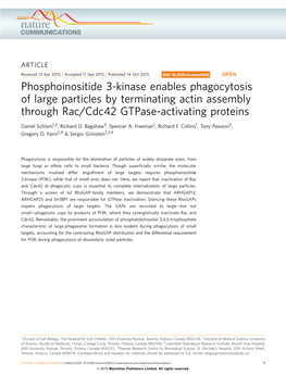 Phosphoinositide 3-Kinase Enables Phagocytosis of Large Particles by Terminating Actin Assembly Through Rac/Cdc42 Gtpase-Activating Proteins