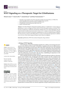 WNT Signaling As a Therapeutic Target for Glioblastoma