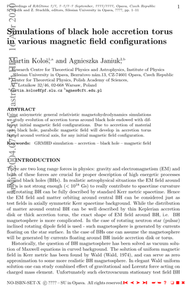 Black Hole Accretion Torus & Magnetic Fields