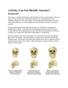 WIB Identify Ancestry from Skull