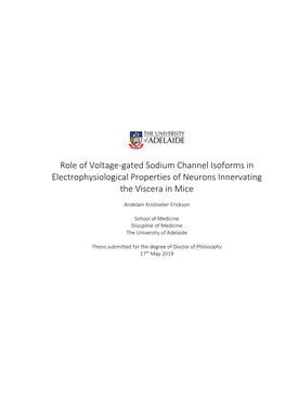 Role of Voltage-Gated Sodium Channel Isoforms in Electrophysiological Properties of Neurons Innervating the Viscera in Mice