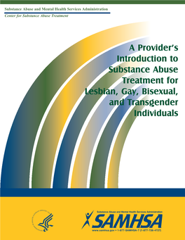 A Provider's Introduction to Substance Abuse Treatment for Lesbian, Gay