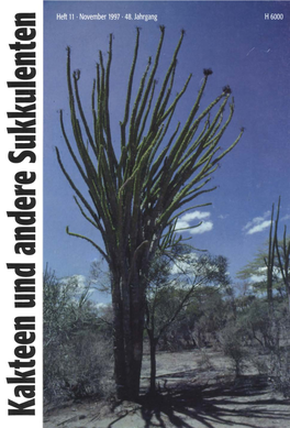 Die Cactaceae