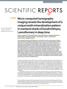 Micro-Computed Tomography Imaging Reveals the Development of A