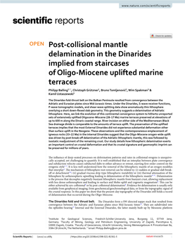 Post-Collisional Mantle Delamination in the Dinarides Implied