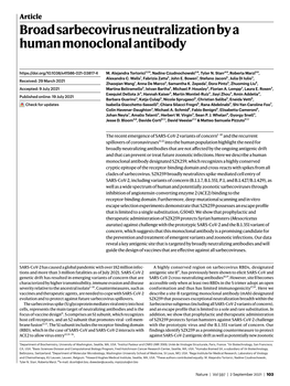 Broad Sarbecovirus Neutralization by a Human Monoclonal Antibody