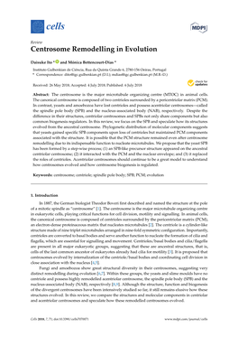 Centrosome Remodelling in Evolution