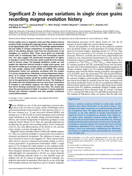 Zircon Grains Recording Magma Evolution History