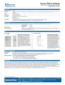Human TRAF-2 Antibody Antigen Affinity-Purified Polyclonal Goat Igg Catalog Number: AF3277