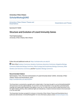 Structure and Evolution of Lizard Immunity Genes