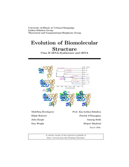Evolution of Biomolecular Structure Class II Trna-Synthetases and Trna