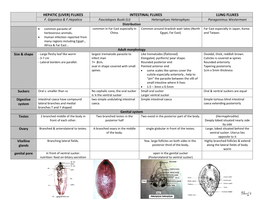 (Liver) Flukes Intestinal Flukes Lung Flukes F