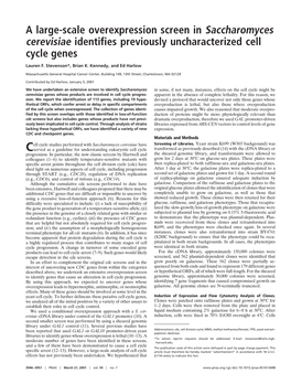 A Large-Scale Overexpression Screen in Saccharomyces Cerevisiae Identifies Previously Uncharacterized Cell Cycle Genes