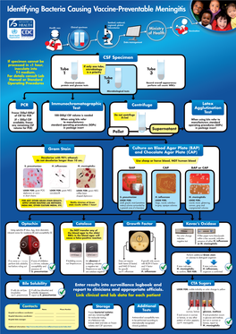 Identifying Bacteria Causing Vaccine-Preventable Meningitis