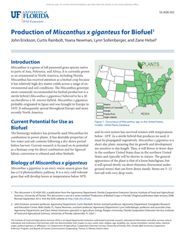 Production of Miscanthus X Giganteus for Biofuel1 John Erickson, Curtis Rainbolt, Yoana Newman, Lynn Sollenberger, and Zane Helsel2