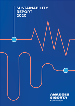 Sustainability Report 2020