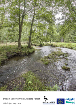 Stream Valleys in the Arnsberg Forest