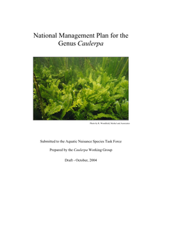 National Management Plan for the Genus Caulerpa