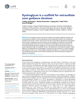 Dystroglycan Is a Scaffold for Extracellular Axon Guidance Decisions L Bailey Lindenmaier1, Nicolas Parmentier2, Caiying Guo3, Fadel Tissir2, Kevin M Wright1*