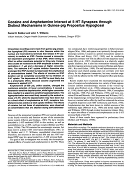 Cocaine and Amphetamine Interact at 5HT Synapses Through Distinct Mechanisms in Guinea-Pig Prepositus Hypoglossi