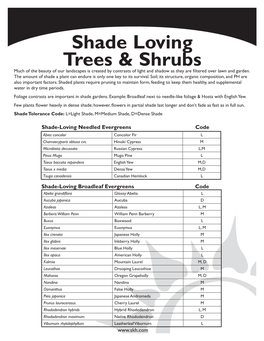 Shade Loving Trees & Shrubs