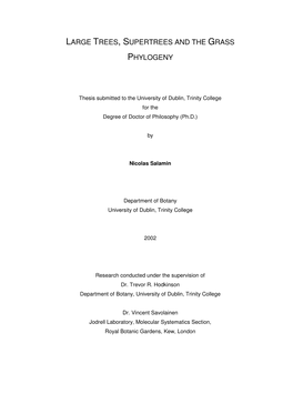 Large Trees, Supertrees and the Grass Phylogeny