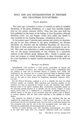 Molt and Age Determination in Western and Yellowish Flycatchers