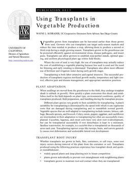 Using Transplants in Vegetable Production