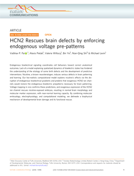 HCN2 Rescues Brain Defects by Enforcing Endogenous Voltage Pre-Patterns