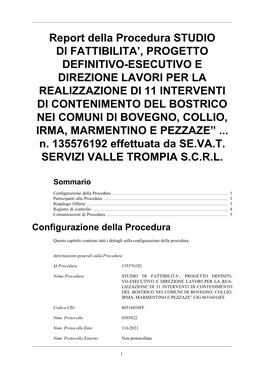 Report Della Procedura STUDIO DI FATTIBILITA', PROGETTO