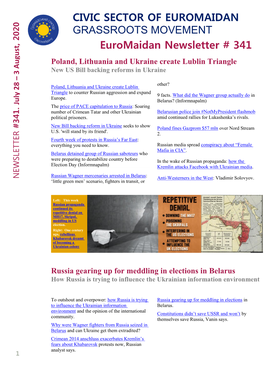 Euromaidan Newsletter # 341 CIVIC SECTOR OF