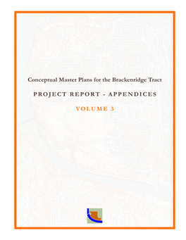 Conceptual Master Plans for the Brackenridge Tract Project Report
