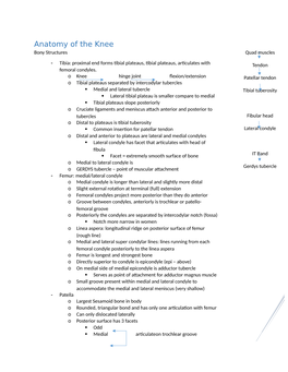 Anatomy of the Knee Bony Structures Quad Muscles